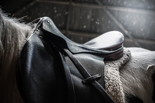 selle en cuir sur un cheval