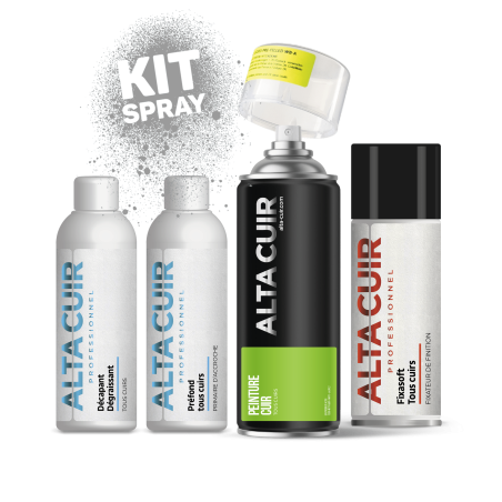 kit peinture cuir en bombe aérosol siège auto