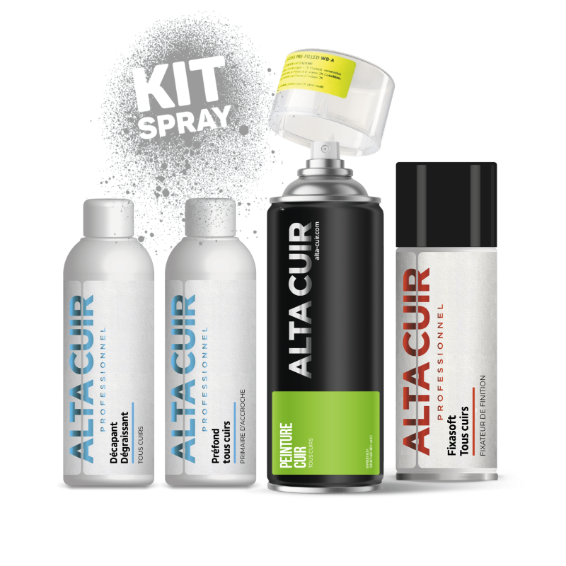 Kit peinture cuir en aérosol
